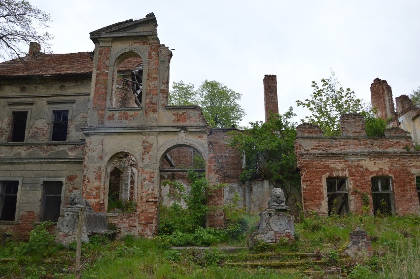 Pałac w Osieku to dziś ruina. Zobaczcie ZDJĘCIA