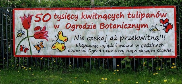 Billboard wystawy tulipan&oacute;w w ogrodzie botanicznym. 
fot. Mariusz Reczulski