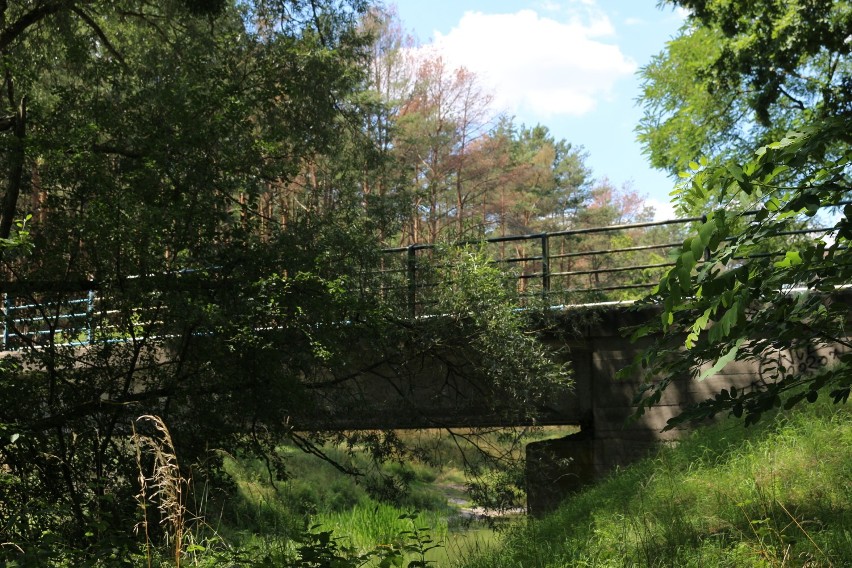 Obra. Ta leniwa rzeka dawniej siała spustoszenie