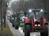 Protest rolników w Pabianicach. Utrudnienia w mieście ZDJĘCIA