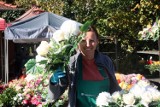 Zobaczcie zdjęcia cen kwiatów i zniczy przy Cmentarzu Komunalnym w Legnicy