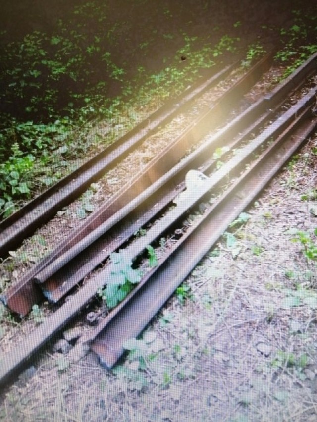 Mężczyźni wycinali palnikiem nieużytkowane tory kolejowe pod Kamionną - zostali zatrzymani przez policję i trafili do aresztu (21.08.2019).