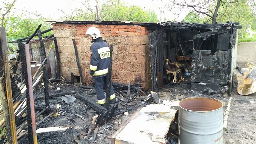 Tragedia na ogródkach działkowych. Jedna osoba zginęła w pożarze [ZDJĘCIA]