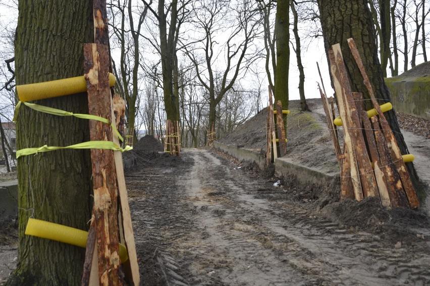 Zobacz jak idą prace w Parku Siemiradzkiego i... jakie stąd...