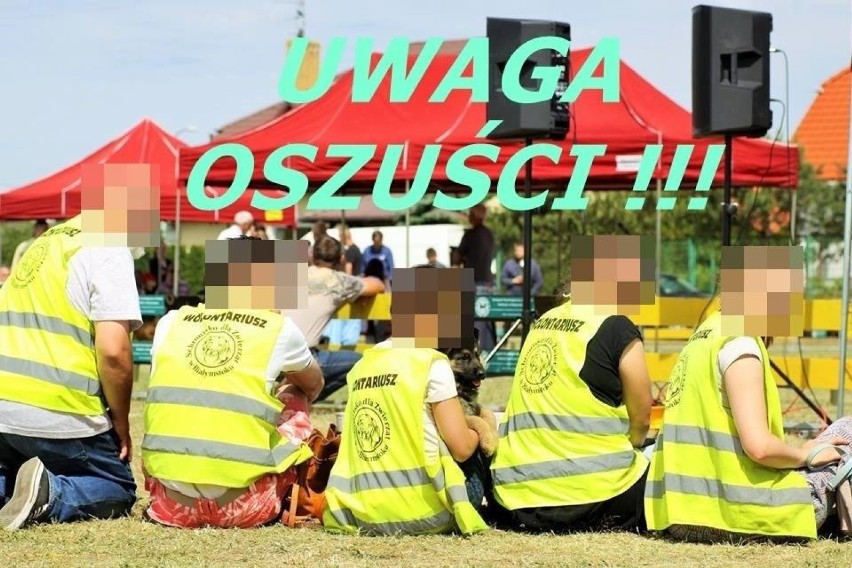 Prawdziwi wolontariusze schroniska zawsze mają na sobie...