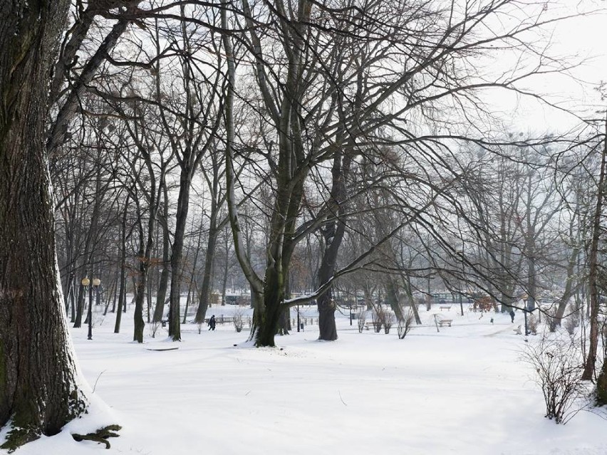 Zima w Wodzisławiu Śl. jest piękna!

ZOBACZ TEŻ: Polub nas...