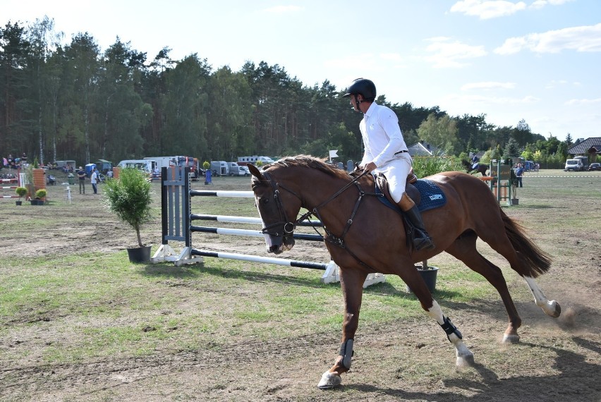 Gala Jeździecka w Dziembówku 2019: Grand Prix Kaczor w pięknym stylu wygrała Agata Dahlke (FOTO)  