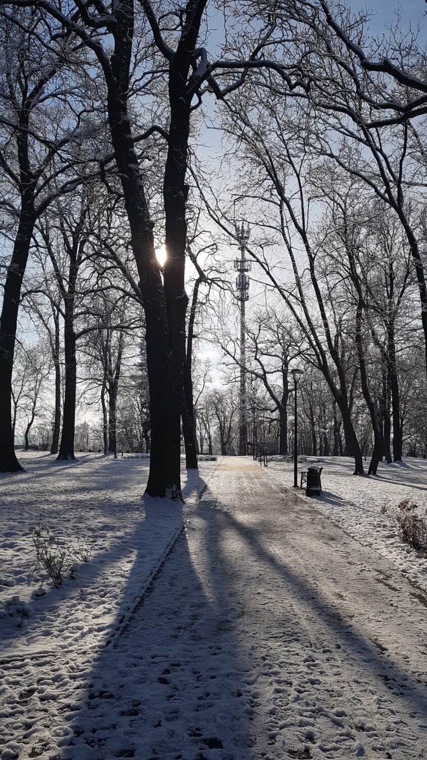 Zdjęcia Krosna Odrzańskiego w śniegu w 2023 roku.