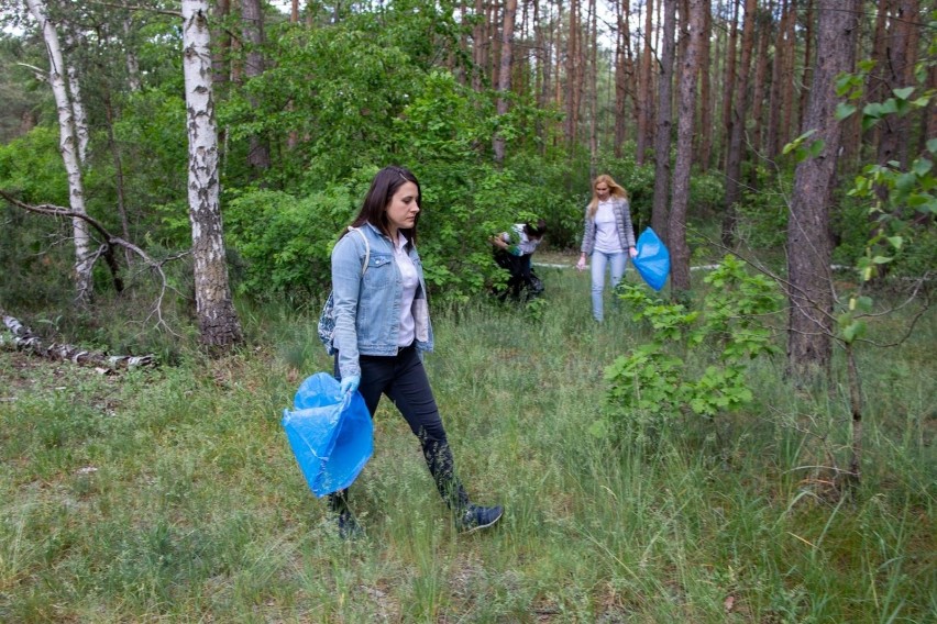 Ósma edycja akcji „Czysta Puszcza Bydgoska” rozpoczęta! Trwa...