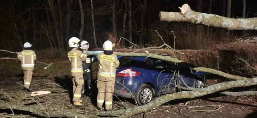 Wichura nad powiatem kołobrzeskim, padające drzewa, konary, latające płoty