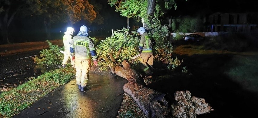 Nocna interwencja strażaków przy usuwaniu drzewa...
