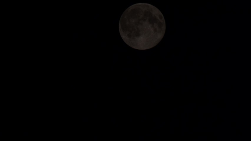 Proszowice. Niezwykłe zdjęcia "superksiężyca", czyli Księżyc w pełni [ZDJĘCIA]