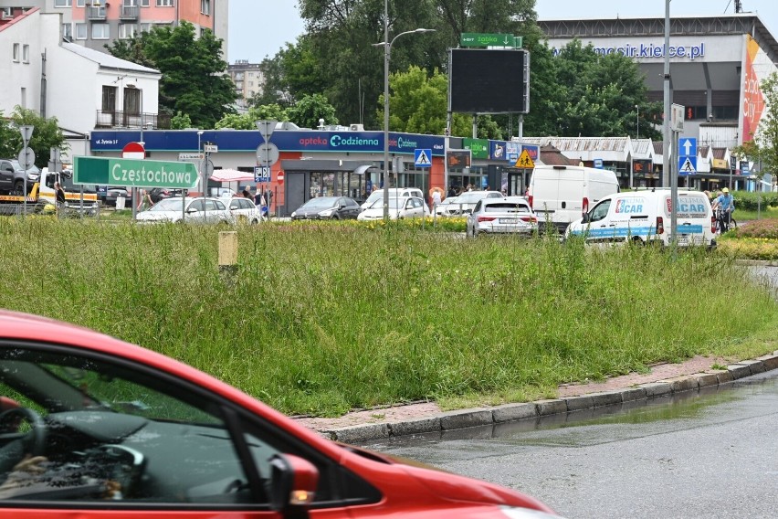 Kieleckie ronda bez kwiatów w tym sezonie. Nie ma pieniędzy na ładny wygląd miasta. Zobacz zdjęcia