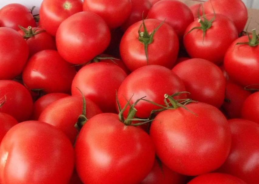 Pomidory malinowe 6,80 za kilogram
