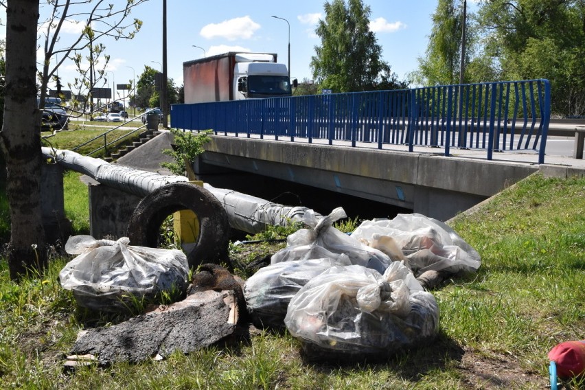 Sprzątanie Czarnej Hańczy w Suwałkach. Z rzeki wyciągnięto znaki drogowe, telefon, oponę, a nawet dowód osobisty [Zdjęcia]