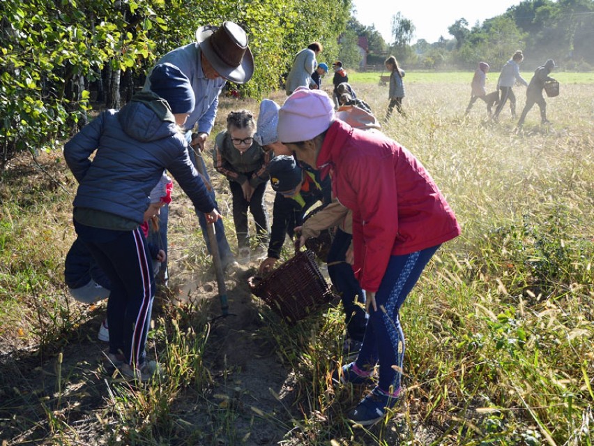 SP w Piątku. Zajęcia edukacyjne w gospodarstwie agroturystycznym w Konarzewie