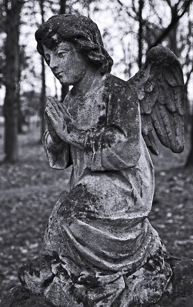Stary Cmentarz w Rzeszowie [zdjęcia]