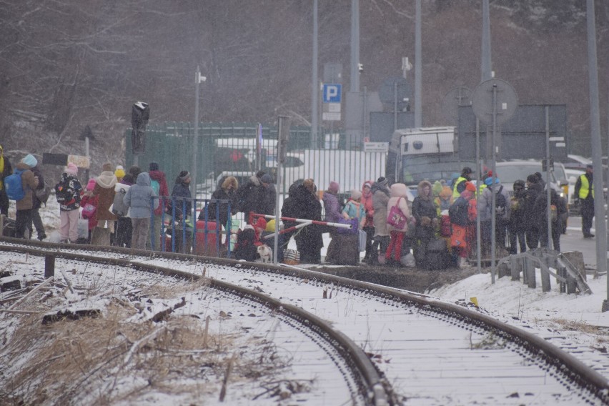 Fala uchodźców z Ukrainy. Przejście graniczne w Krościenku w...