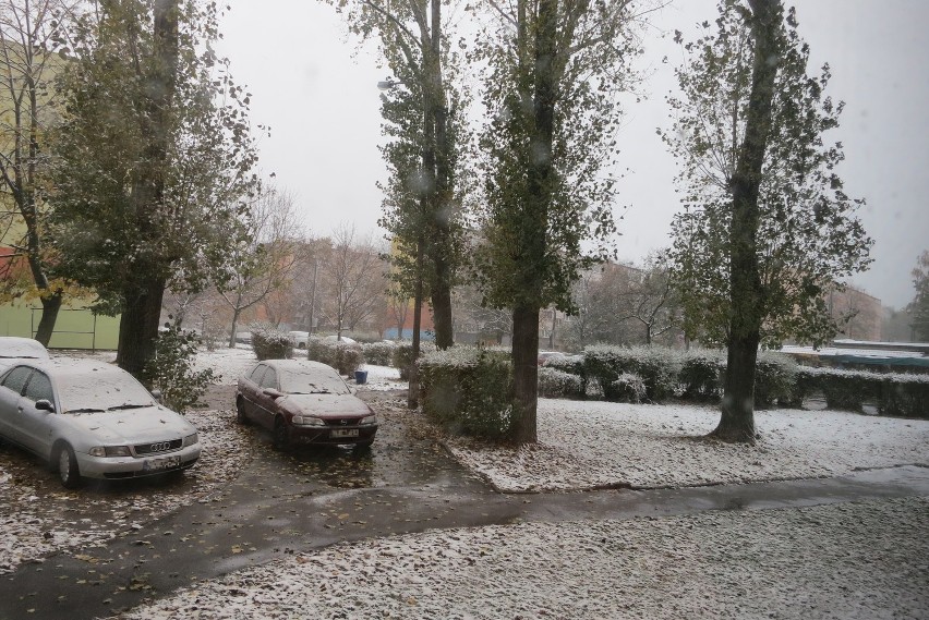 Pierwszy dzień zimy w Łodzi