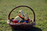 Wielkanocne paczki dla 400 osób  potrzebujących w Koninie