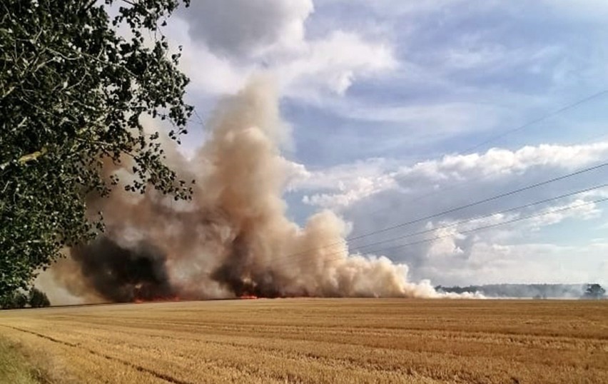 Gmina Stargard. Wielki pożar na polu pod Stargardem, między Żarowem i Smogolicami. Paliło się też na polu pod Dolicami