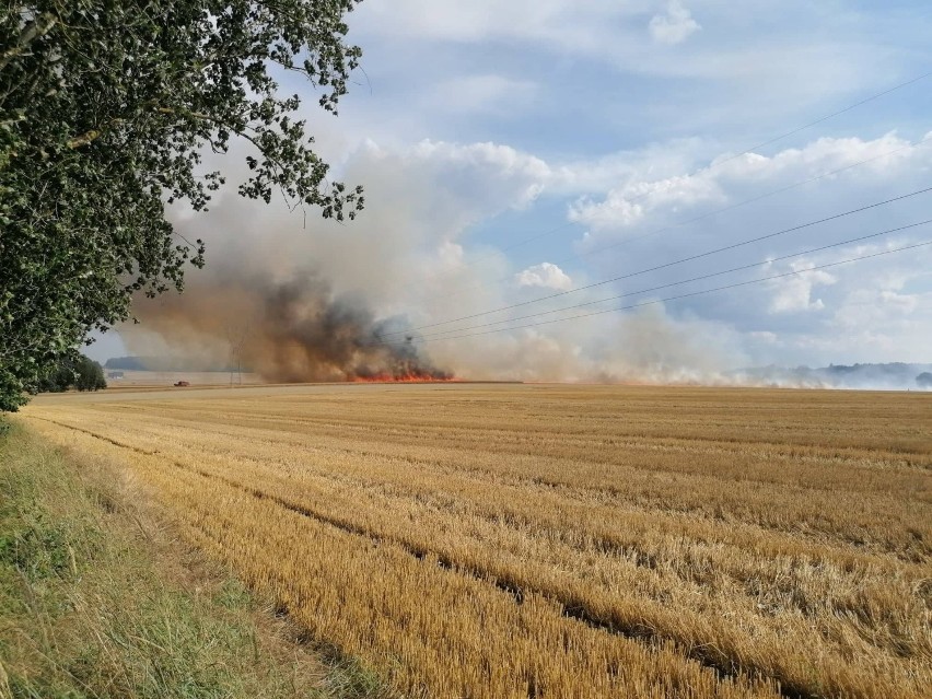 Gmina Stargard. Wielki pożar na polu pod Stargardem, między Żarowem i Smogolicami. Paliło się też na polu pod Dolicami