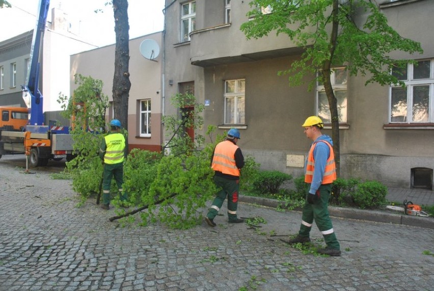Przycinanie drzew na ul. Lipowej potrwa do końca tygodnia
