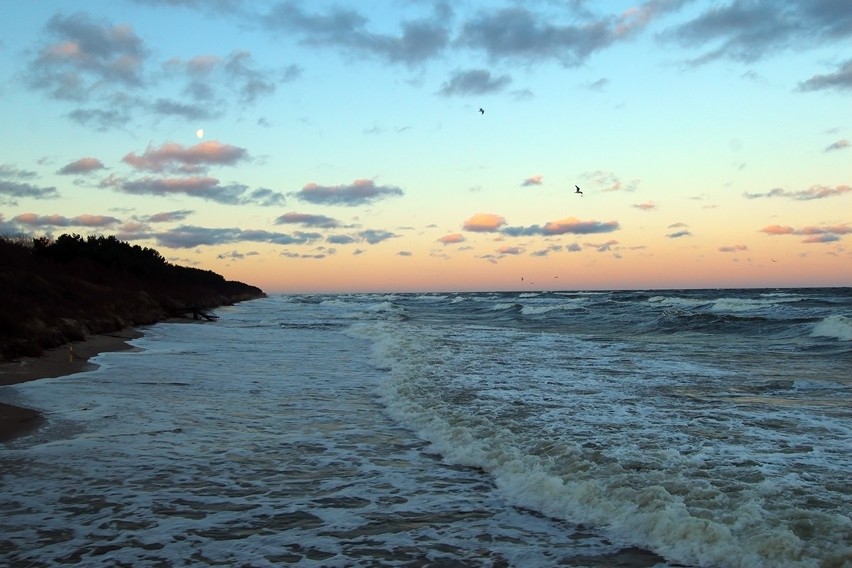 Dziwnów 2012

Zobacz też: Dzień Morza Bałtyckiego [ZDJĘCIA]