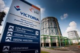 Superfirma: VICTORIA oznacza zwycięstwo