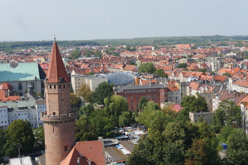 Ścianki wspinaczkowej i prawdziwej sauny