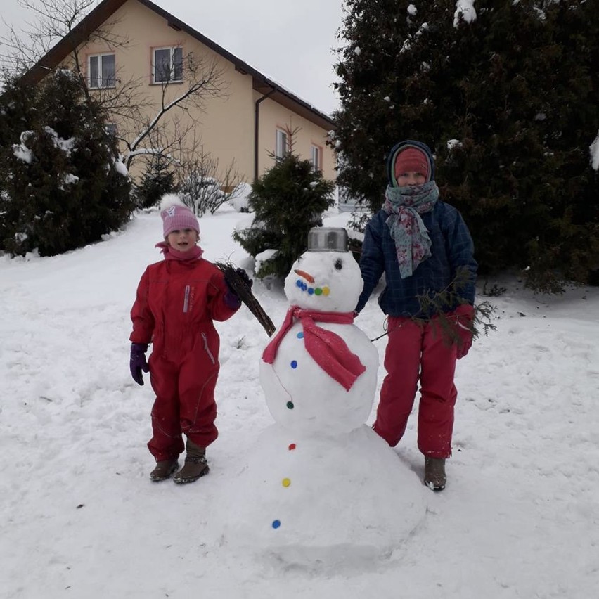 Tarnów. Zobaczcie najfajniejsze bałwanki ulepione na początek ferii [ZDJĘCIA]