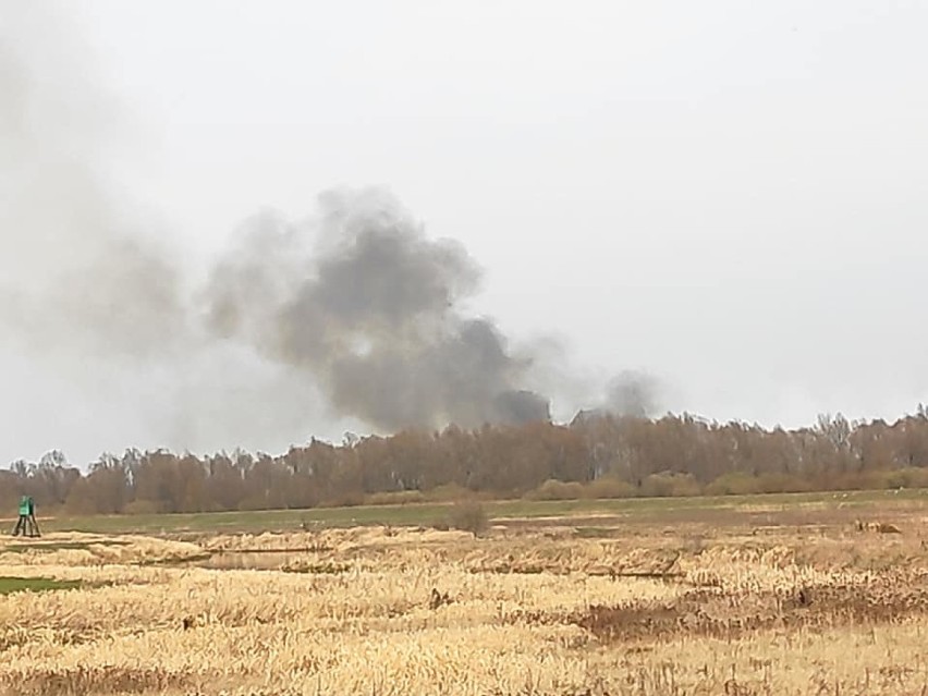 Strażacy walczą z pożarem na terenie Rezerwatu Przyrody Jeziorsko[FOTO]