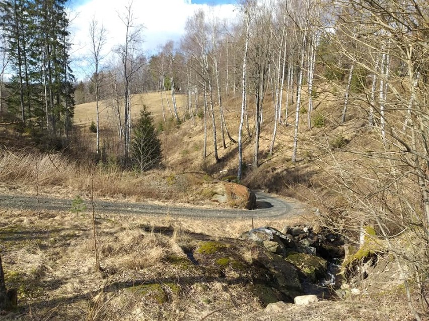 Relacja Polki o sytuacji w Norwegii w czasie pandemii koronawirusa