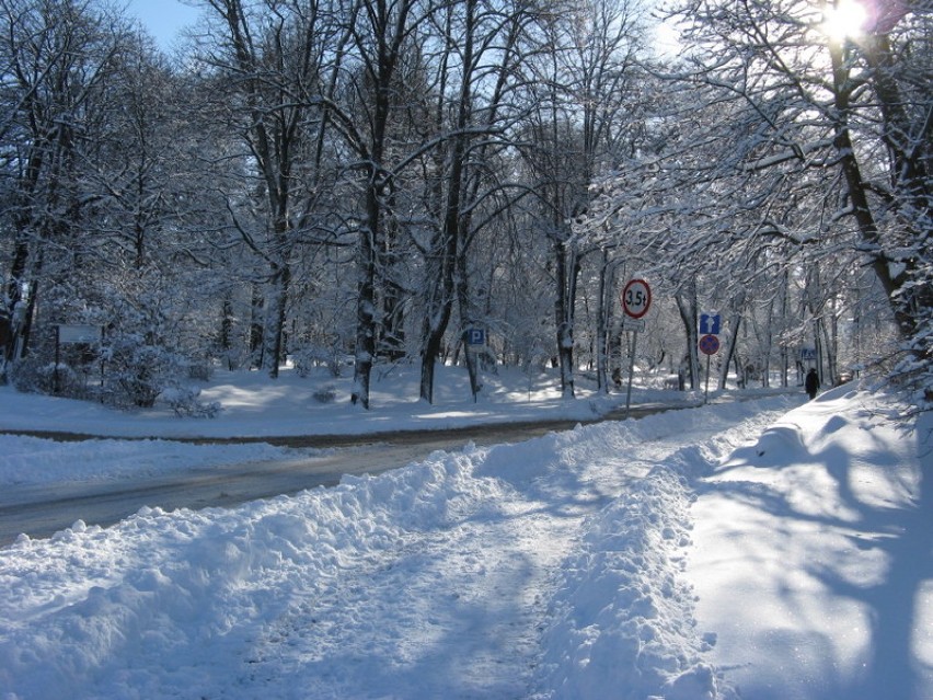 Zima w Kartuzach 25.03.2009