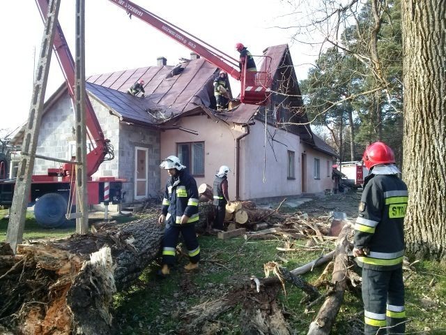 Drzewo zniszczyło budynek mieszkalny w Bliznem