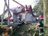 Drzewo zniszczyło budynek mieszkalny w Bliznem [ZDJĘCIA]