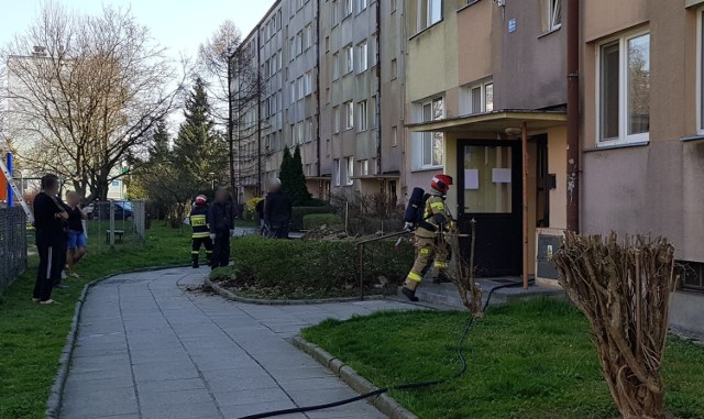 Do zdarzenia doszło w czwartek na ul. Rogozińskiego w Przemyślu. Wyjechały trzy zastępy strażaków. Na miejscu okazało się, że podczas prac remontowych, w piwnicy bloku zapaliła się płyta ociepleniowa. Na szczęście ogień nie zdążył się rozprzestrzenić.

Zobacz też: Na parkingu przy Tesco na ul. Lwowskiej w Przemyślu spłonął samochód
