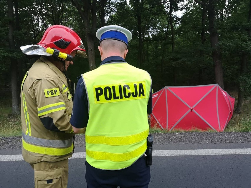 Śmiertelny wypadek na drodze Leszno - Osieczna