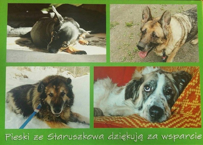 Staruszkowo