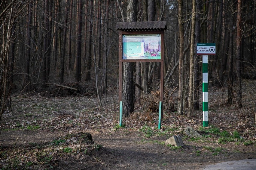 Częścią Lasu Pietrasze jest Rezerwat Antoniuk. Nie jest...