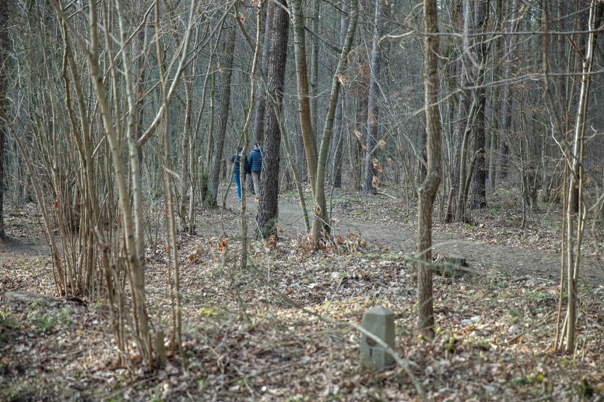 Częścią Lasu Pietrasze jest Las Wesołowski. Od północy...