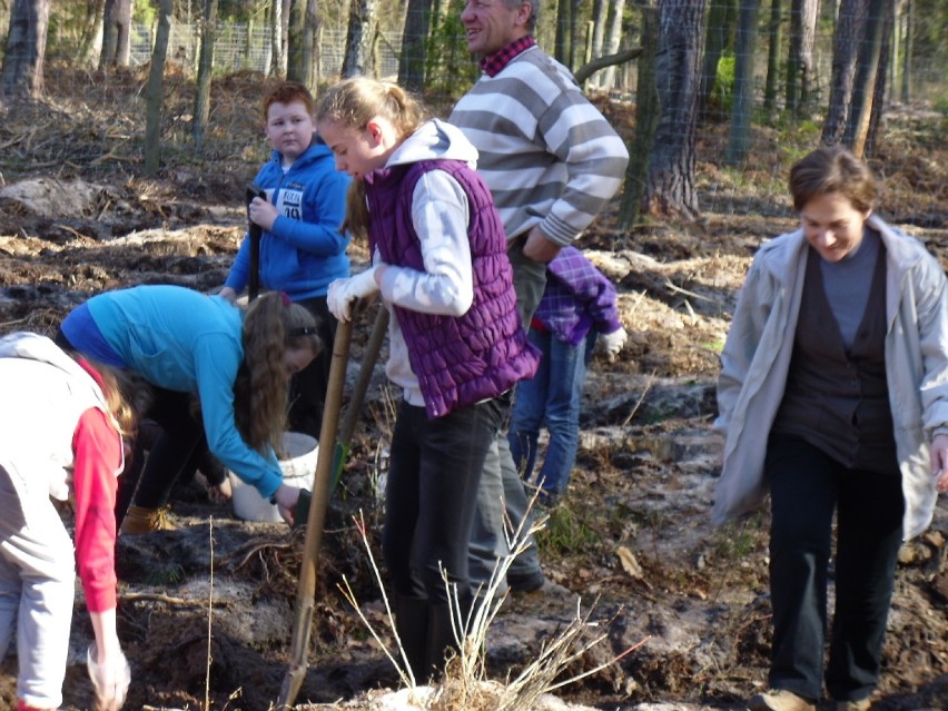 Stradomia Wierzchnia: Sadzili drzewka dębu