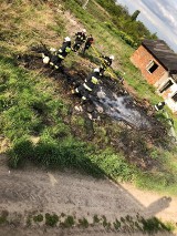 Kolejny pożar. Tym razem palił się pustostan we wsi Kobierzycko [zdjęcia]