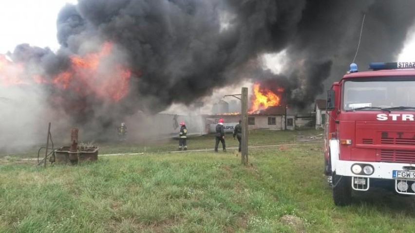 Pożar w Baczynie. Na fermie spłonęło tys. indyków