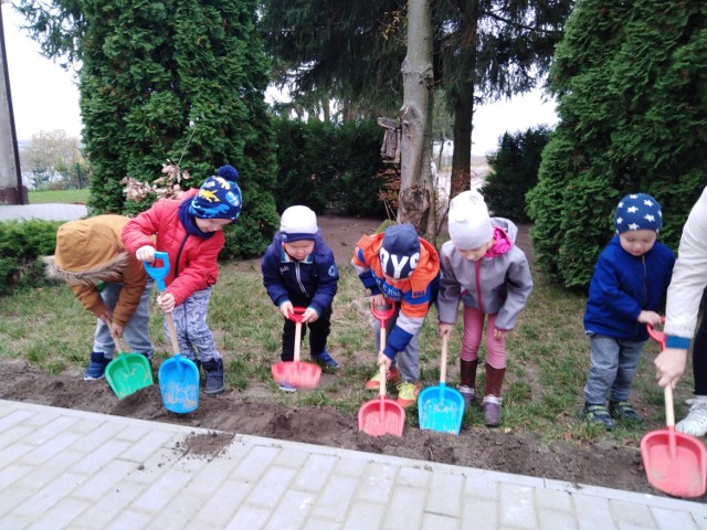 Przedszkolaki z Kikoła i Zajeziorza wzięły udział w akcji "Krokus".  Projekt „Krokus” jest międzynarodowym przedsięwzięciem,  realizowanym w Polsce już po raz jedenasty.