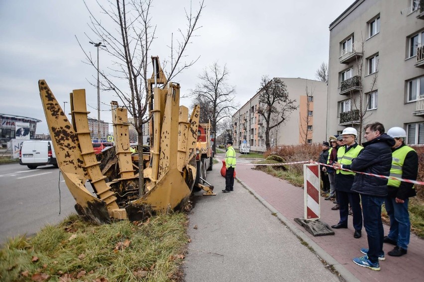 Miejski Zarząd Dróg w Częstochowie rozpoczął proces przesadzania drzew przy DK1. Dokąd nastąpi przeprowadzka kilkunastoletnich drzew?
