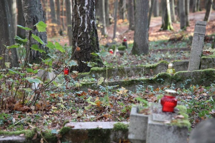 Żuławka: Mieszkańcy posprzątali dawny ewangelicki cmentarz w lesie i zapalili znicze [ZDJĘCIA]