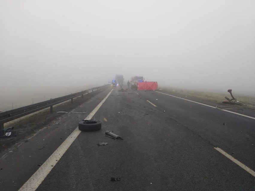 Tragedia na drodze w pobliżu Elbląga.  Zginął kierowca Skody! ZDJĘCIA