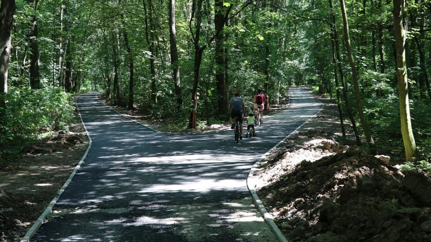 Park Wolności

To zdecydowanie jedno z ulubionych miejsc...