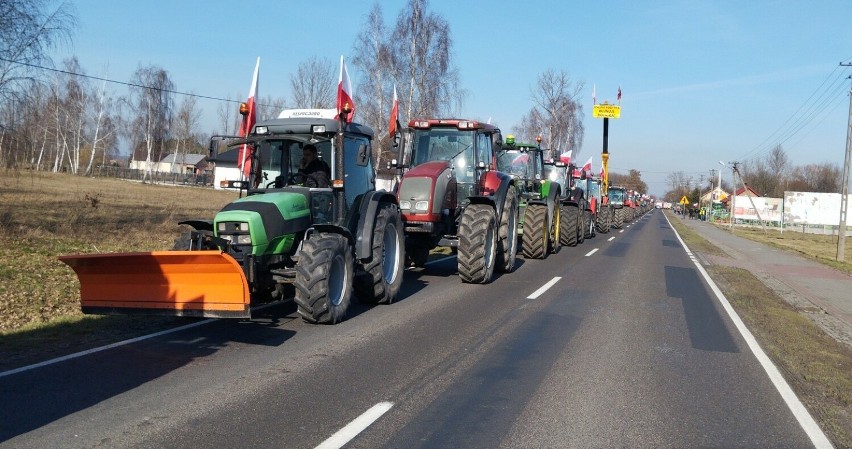 Rolnicy protestowali przy zjeździe z A2 Dąbie. Chcą obowiązkowego kursu wiedzy dla „Euro osłów i posłów”